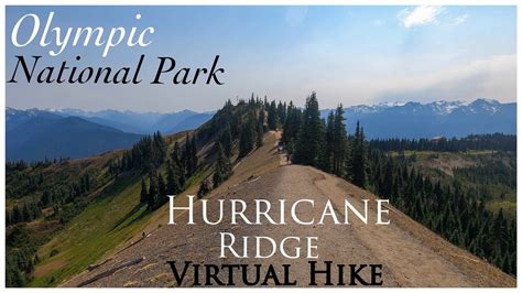 Relaxing VIRTUAL Hike with 360 VIEWS | HURRICANE RIDGE 4K | Olympic ...