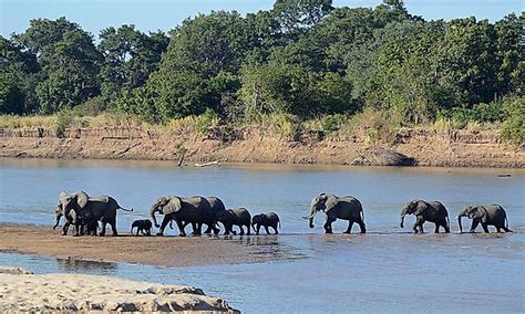 Zambia's Top National Parks - WorldAtlas