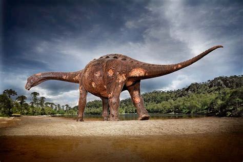 Ancient parasites in a titanosaur’s bones made it look like a zombie | New Scientist