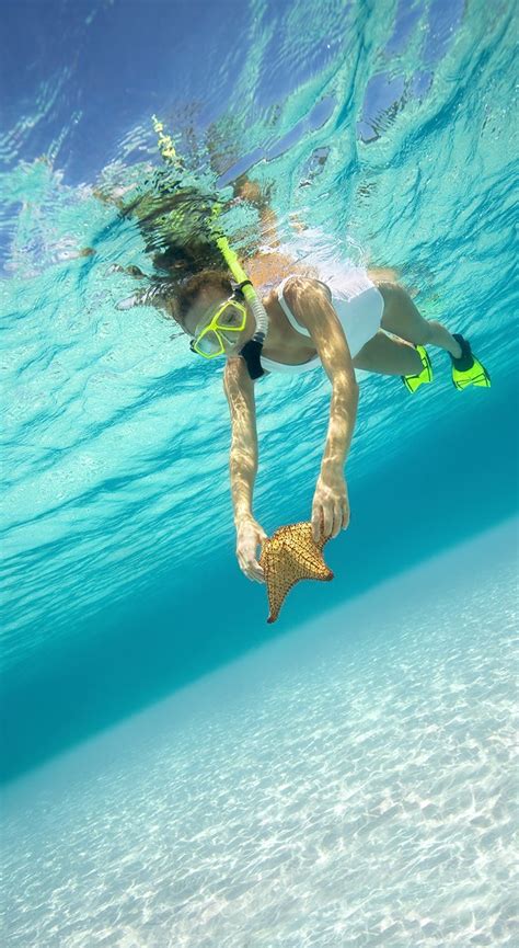 a woman swimming in the ocean with a starfish