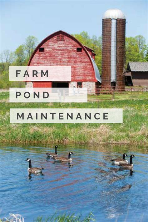 Farm pond maintenance – Artofit