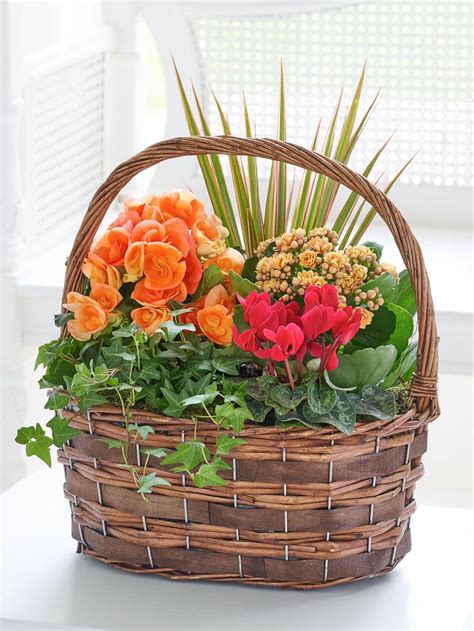 Flower Arrangements & Bouquets For Delivery | Christmas plants gifts, Container flowers, House ...