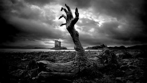 Nature Black White Zombie Hand Wallpaper 1 Raymond - Nature Black And White Photography (#326310 ...