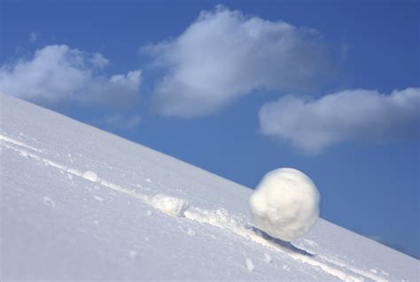 Snow ball - teamRIPPED