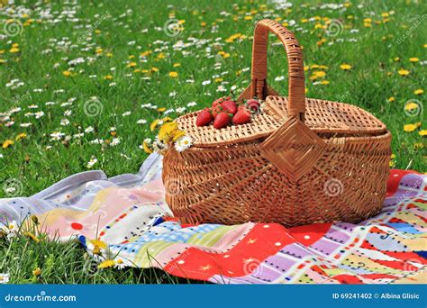 Spring Picnic , Picnic Basket And Blanket On Green Grass In Park ...