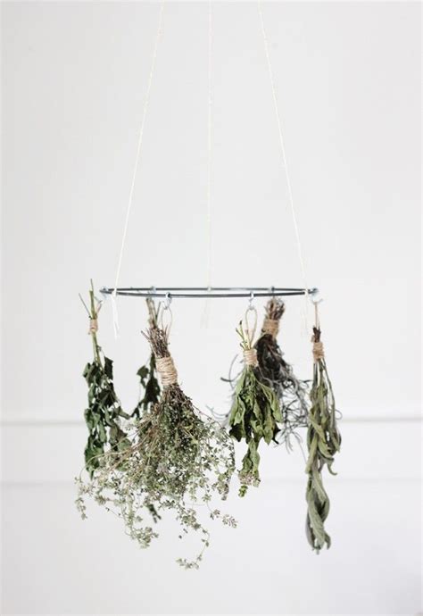 19 Recipes to Make the Most of Fresh Herbs | Herb drying racks, Drying ...