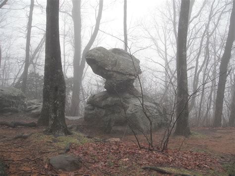 Hiking the Appalachian Trail to Blood Mountain, Georgia | Loomis ...