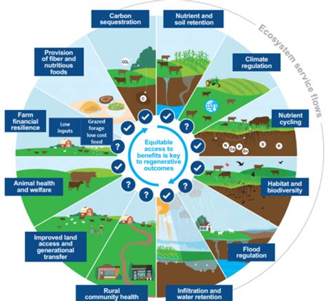 Regenerative agriculture: buzzword and beyond | Farming Connect