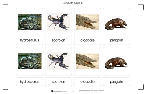 Montessori Materials: Animals with Scales