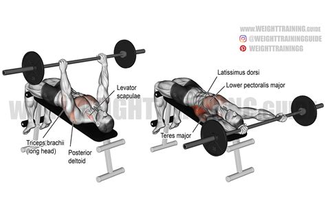 Decline barbell pullover exercise guide and video | Weight Training Guide