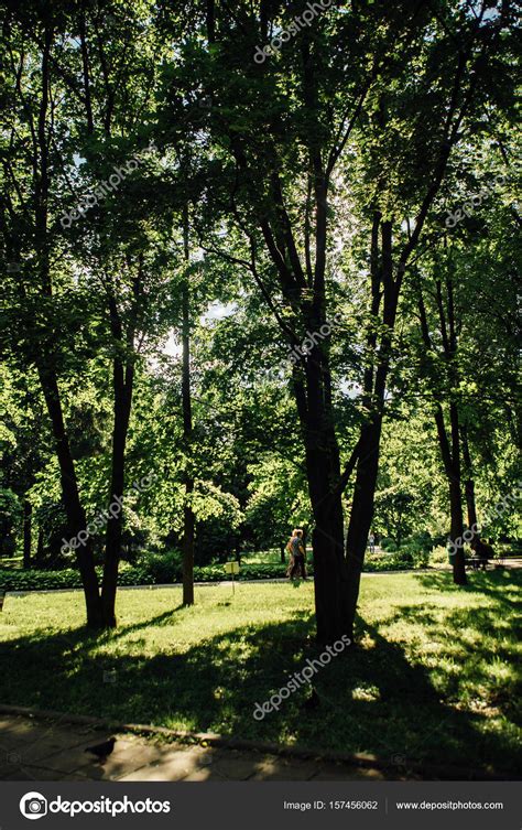 Moscow city parks Stock Photo by ©KatyaZork 157456062