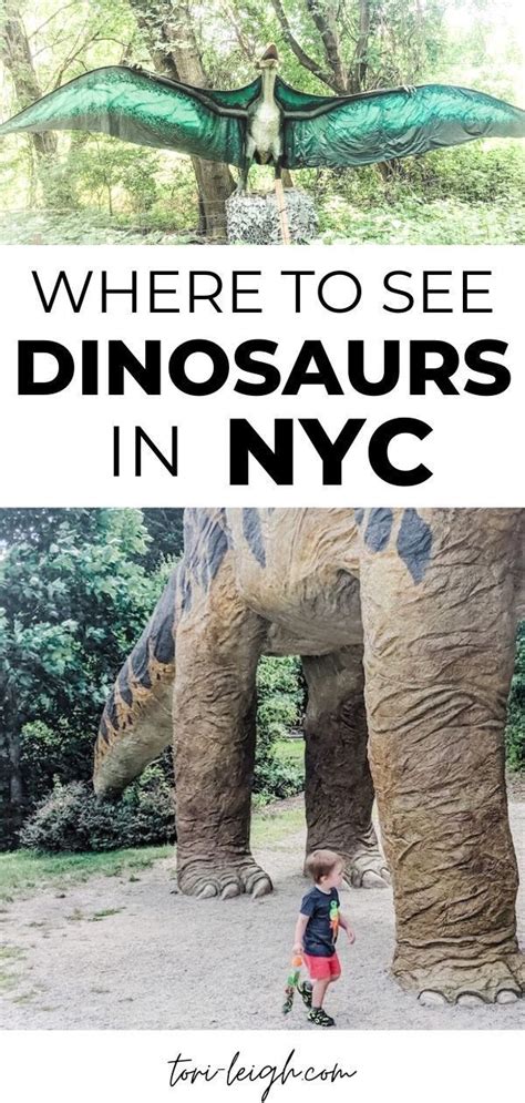 Five Incredible Dinosaur Museums In And Around NYC | Dinosaur museum, Museums in nyc, Road trip ...