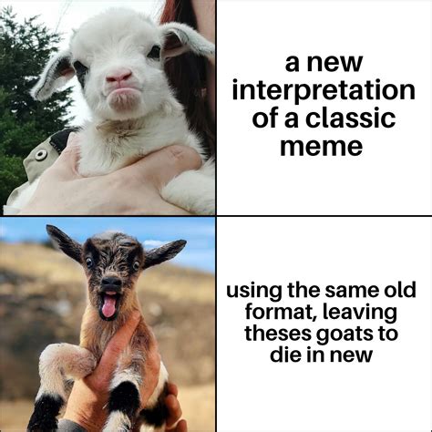 Enjoy these cute baby goats : r/memes