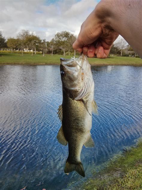 How To Catch Fish In A River - what makes a good fishing