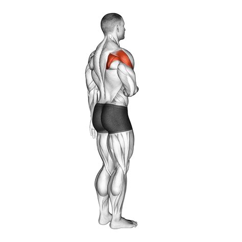 Shoulder Tendonitis: 5 Stretches and 5 Exercises (with Pictures!) - Inspire US