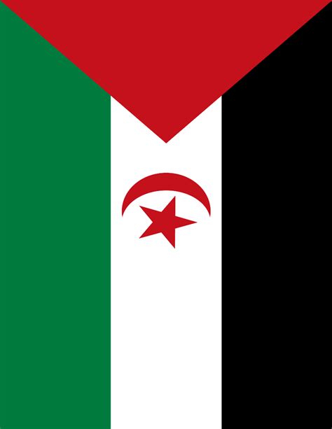 Western Sahara flag full page