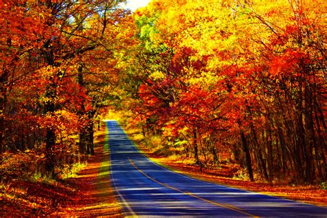 16 Places To See Fall Foliage In The South USA - Southern Trippers