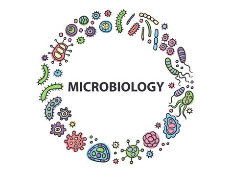 Microbiology logo | Microbiology, Biology diagrams, Microbiology lab