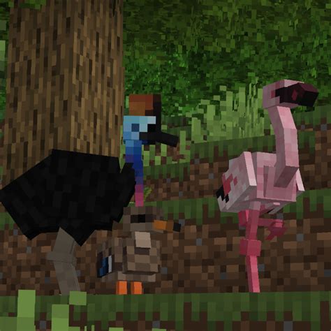 Arzher's Exotic Birds Screenshots - Resource Packs - Minecraft