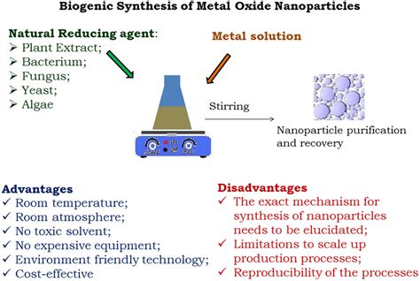 Metals | Free Full-Text | Nanotoxicology of Metal Oxide Nanoparticles ...