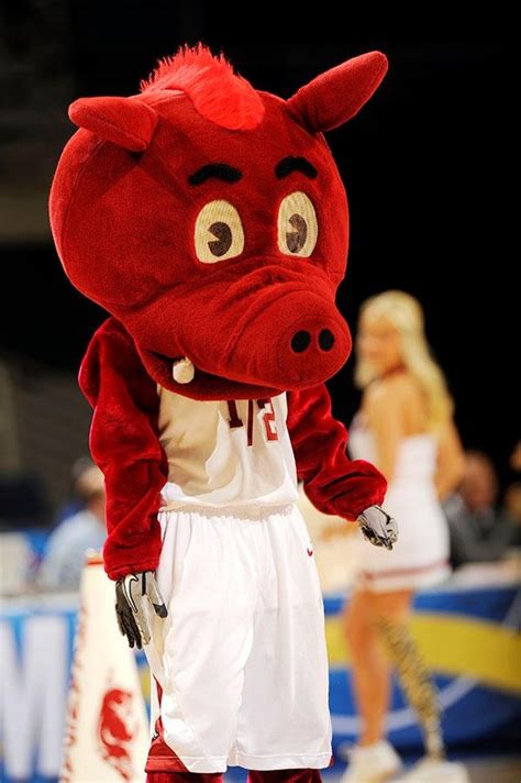 Arkansas Razorbacks mascot Porkchop. | College Mascots: SEC | Pinterest | Pork, The o'jays and ...