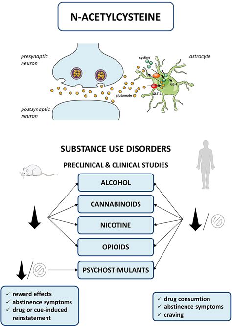 Mechanism of action and summary of N-acetylcysteine effects in ...