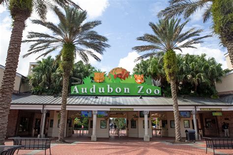 Audubon Zoo Announces 2023 Operating Hours and Community Connect Program