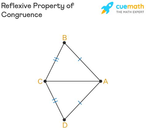 Reflexive Property - Congruence, Equality, Formula, Examples