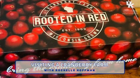 Visiting a Cranberry Farm - YouTube