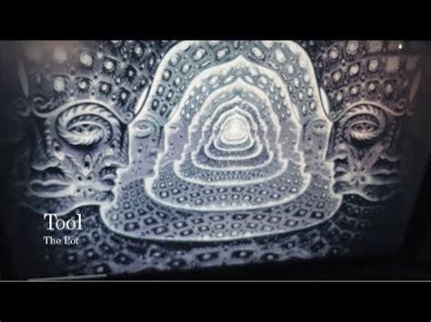 Tool - The Pot Cover -- Are you also waiting for the new Tool album? : r/metalguitar