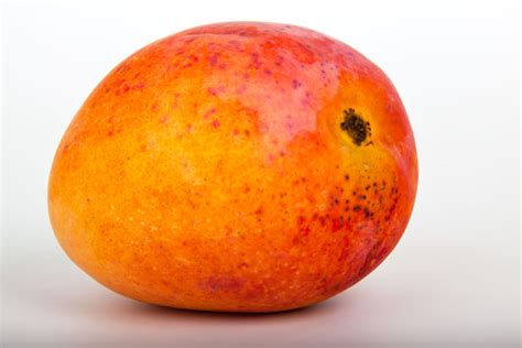 Mango Free Stock Photo - Public Domain Pictures