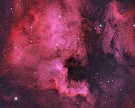 North America Nebula in bi-color Ha and OIII | Nebula, Orion nebula ...