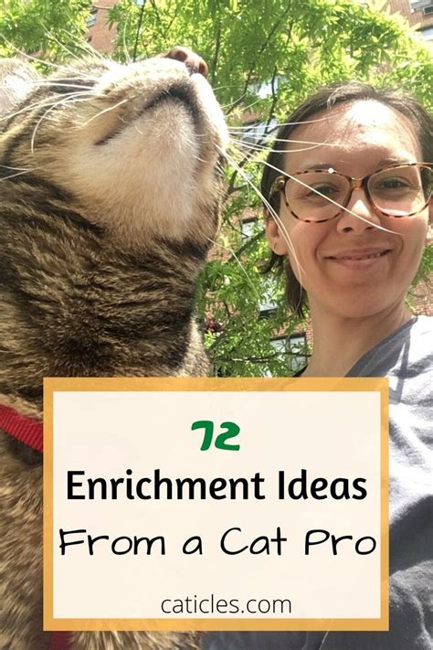 Cat Enrichment DIY | 70+ Indoor Cat Happiness Ideas | Indoor cat, Cat hacks, Cats diy projects