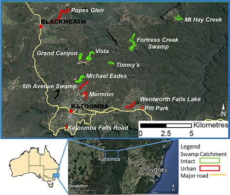 Study site locations. Outlines show swamps that are identified by name ...