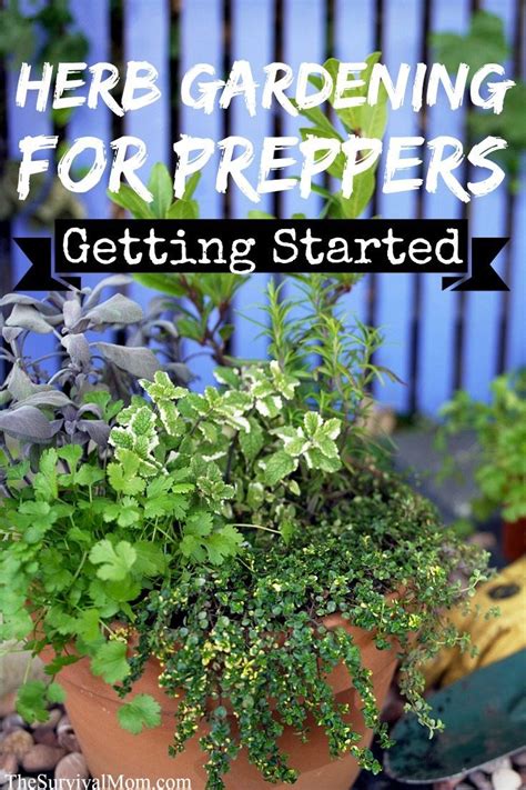 Herb gardening for preppers will allow you to have a variety of fresh herbs on hand for ...