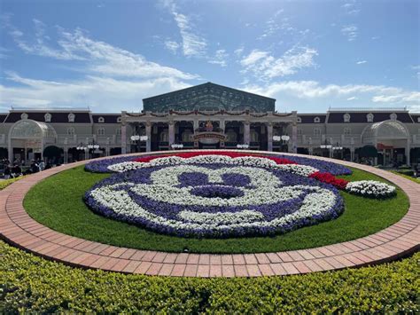 PHOTOS: Disney Christmas 2023 Decorations Arrive at World Bazaar in ...