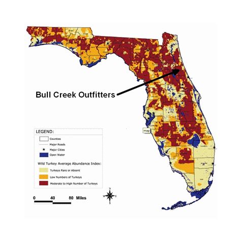 Turkey Range Map | Florida Turkey