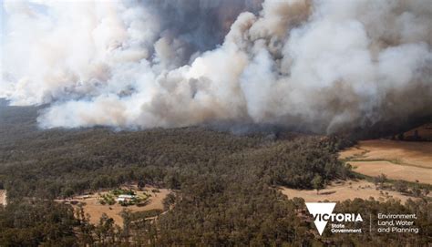 More than 110 plant species in Australia had their entire ranges burned in the 2019-2020 ...