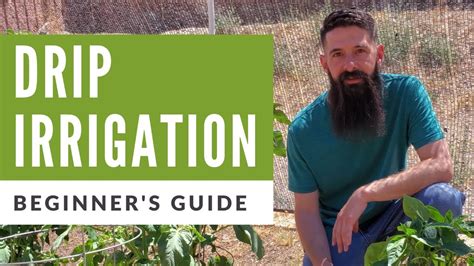 Installing Drip Irrigation in Vegetable Garden | A Beginners Guide to ...