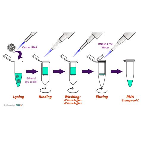 Viral RNA extraction Kit - ZELLX® - High Quality & Affordable BioAssays