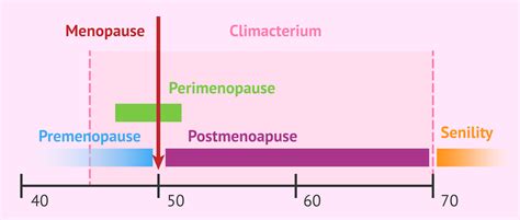 The different stages of menopause