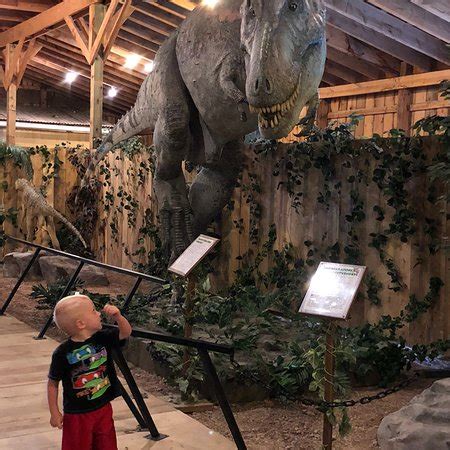 Dinosaur Museum (Rapid City) - 2019 All You Need to Know BEFORE You Go ...