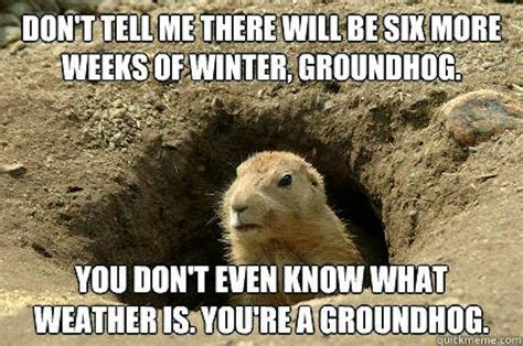 These Groundhog Punxsutawney Phil Memes Will Get You Through The Cold ...