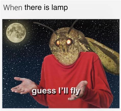 Please Enjoy These 32 Moth Memes That Made Me Cry From Laughing | Funny memes, Memes, Love memes