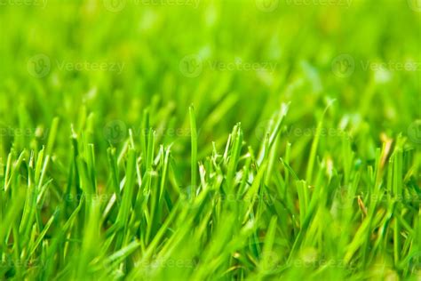 grass texture background 21152586 Stock Photo at Vecteezy