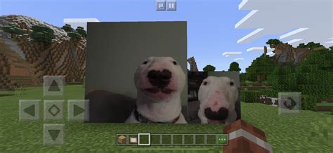 Walter the dog painting resource pack Minecraft Texture Pack