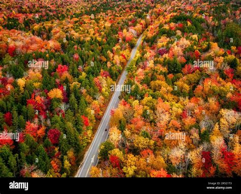 White Mountains NH Fall Foliage - Aerial view of the autum peak colors at Kancamagus Highway in ...