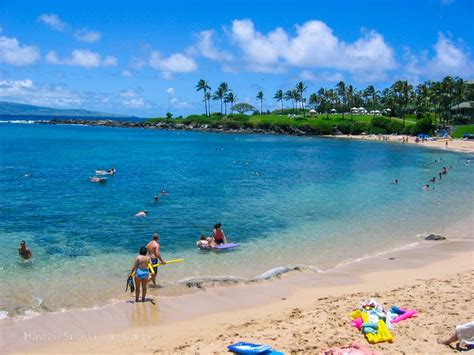 Kapalua Bay Snorkeling Secrets! The Complete Guide to Maui Snorkeling!