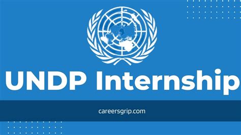 UNDP Summer Internship 2023 Without IELTS - Careers Grip