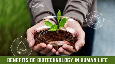 Top 7 Benefits of Biotechnology in Human life 2023